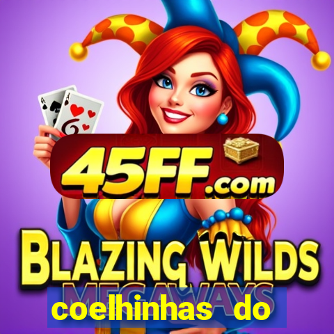 coelhinhas do brasil recife